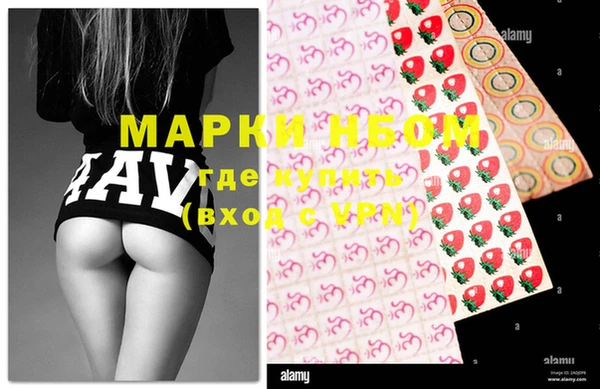сатива Белокуриха