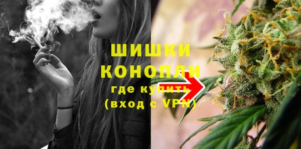 сатива Белокуриха