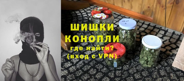 сатива Белокуриха