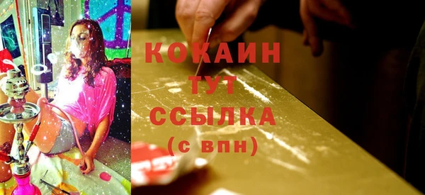 гашик Белоозёрский